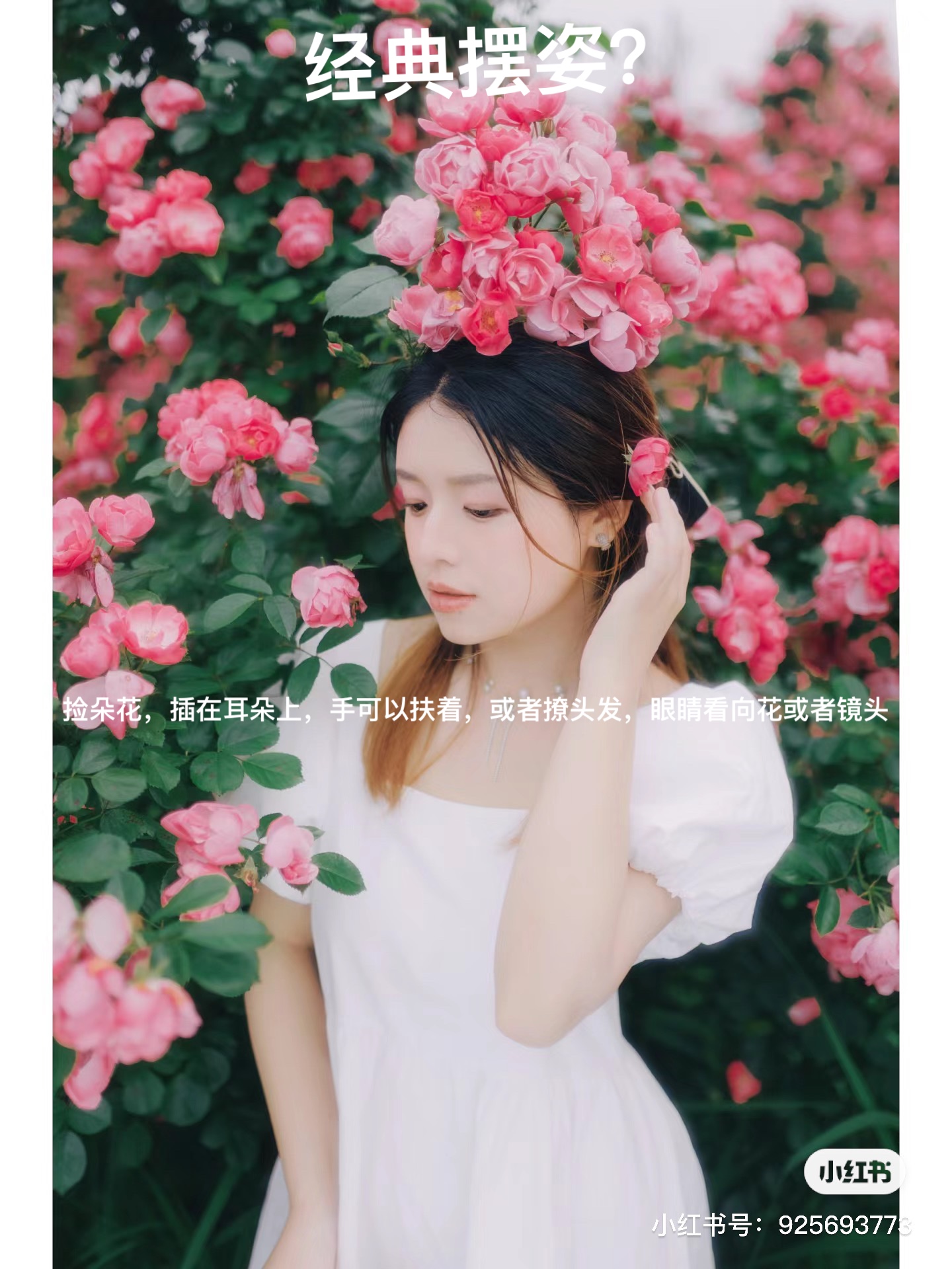 image-20240419075111894